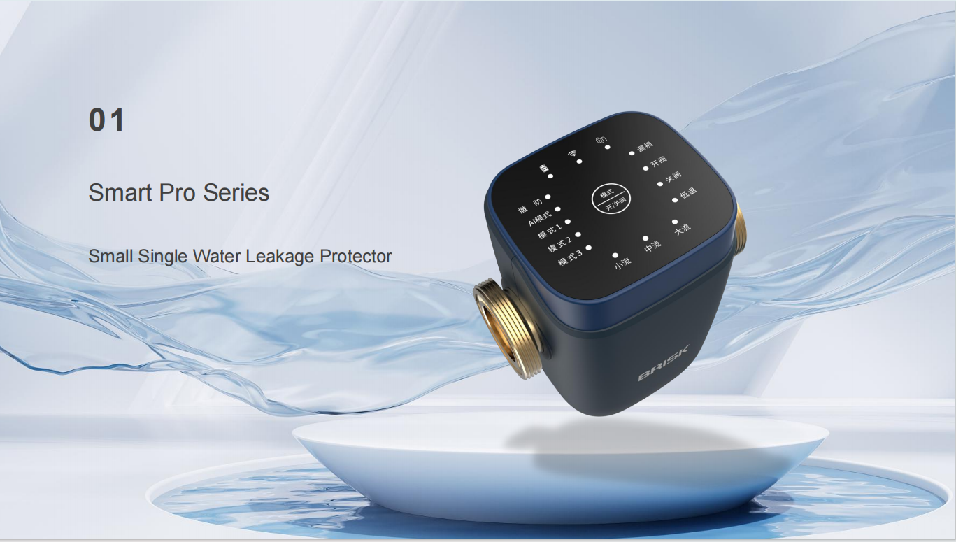Small Single Water Leakage Protector